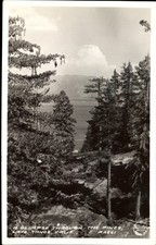 RPPC View through pine trees Lake Tahoe California Frashers ~ EKKP 1904-1950s picture