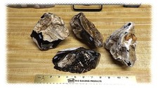 5 LB LOT 4 PIECES NATURAL BLACK PETRIFIED WOOD ETHIOPIAN  -- MILLIONS YEARS OLD picture