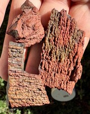 ☘️RR⛏️: 3 Unique PCS Arizona Petrified Wood W/Red/Green Druzy picture