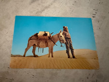 Desert Explorer Arizona Postcard Unposted picture