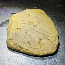 Ancient Native American Incised Stone Tablet Pictograph Effigy Art Dug Relic picture