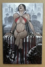 Vampirella Dark Reflections #1 Adam Hughes Variant  picture