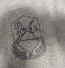 DISCONTINUED 2-10 SPECIAL FORCES SF 10TH GROUP OD GREEN UNIT SHIRT MEDIUM picture