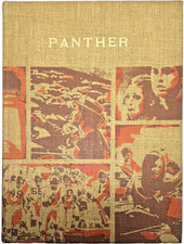 1972 Panther High School Yearbook Vintage Hardcover Student Inscriptions picture