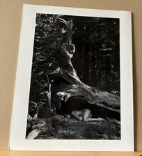 Cole Weston  1979 Gelatin Silver Print 