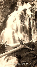 1920s WHITE MOUNTAINS N.H. CRYSTAL CASCADE TUCKERMAN RAVINE RPPC POSTCARD P745 picture