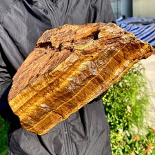 12.43LB Natural tiger's Eye rough raw stone rock specimrn madagescar picture