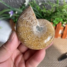 165g PRETTY NATURAL Jade PatternStone sculptor decorationFROM Madagascar A51 picture