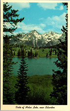 Postcard Silverton Colorado Vista Of Molas Lake Divide US 550 Chrome picture