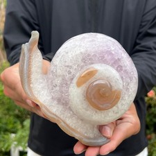 3LB Hand Carved Agate Amethyst Druzy Snail Crystal Animal Statue Healing Decor picture