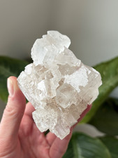8oz Large Clear Cubic Halite – Sharp Geometric Cube Crystal Cluster  - Morocco picture