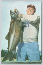 Vintage Photochrome Postcard Lake Trout Newfound Lake NH 1958 Koppel picture