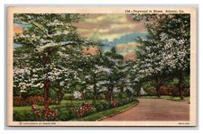 Dogwood Flowers In Bloom Atlanta Georgia GA Linen Postcard N25 picture