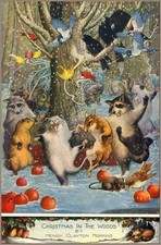 Christmas in the Woods Postcard - Raccoon, Possum, Birds, Squirrel, Snow 1917 picture