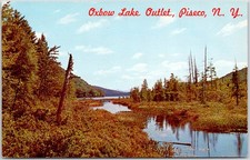 Oxbow Lake Outlet Piseco NY Postcard Adirondacks Scenic View Dexter picture