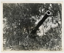 US Army WW2 1943 Artillery Cannon Pacific Original 8x10 Philippines Photo J16115 picture