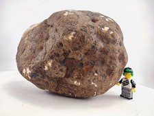 7 Inch Unopened Geode Nodule Natural Round Kentucky Quartz Crystal 6.1 LB picture