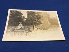 Vintage RPPC Real Photo Postcard Los Angeles Ostrich Farm Opposite Lincoln Park picture