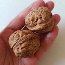 Rare Natural Turkish Walnut Pair Match Wenwan Hand Exercise Collectible picture