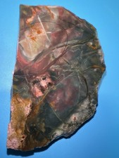Green Bruneau Jasper Mini Slab 54g Cab Rough From Idaho Gem Show picture