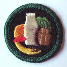 Vintage 1955-1963 Girl Scout NUTRITION BADGE Healthy Diet Foods Milk Fruit Patch picture
