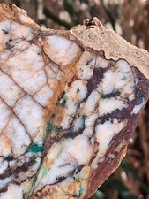Nice Thick Slab Gold Ore Blue Mtn Visible High Grade Gold Ore picture