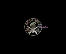 Special Forces Mess w/ Best + a custom promo pin  picture