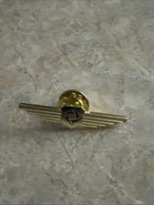 aviation pilot wings pin picture