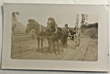 Vintage RPPC Real photo postcard little girl on horse drawn buggy picture