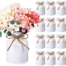 Domensi 12 Pcs Farmhouse Metal Flower Vase, White picture