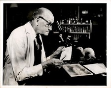 LG72 1950 Original Wide World Photo BY A HAIR Dr Leon Hausman New Jersey College picture