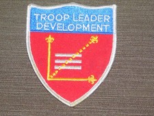 VINTAGE BSA BOY SCOUTS OF AMERICA PATCH TROOP LEADER DEVELOPMENT picture