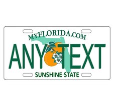 Novelty, Personalized State License Plates-Florida. Three Sizes Available picture