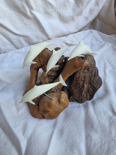 Vintage John Perry Studio White Dolphin Pod Family Sculpture on Natural Burlwood picture
