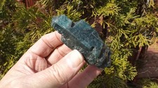 AUTHENTIC RARE BLUE APATITE CRYSTAL DOUBLE TERMINATED NATURAL SCEPTER picture