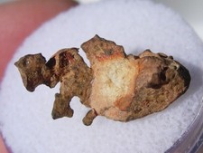 1.29 grams Imilac Meteorite as found Iron ( no Pallasites ) individual with COA picture