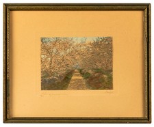 Antique Hand Colored New Hampshire Photograph, Charles Sawyer Apple Blossom Lane picture