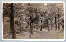 K55/ Chesterfield Indiana RPPC Postcard c1919 Spiritualist Camp Scene  73 picture