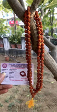 LAB CERTIFIED 5 Mukhi RUDRAKSHA Rudraksh Mala ROSARY 108+1 Bead Prayer Beads 6mm picture