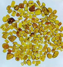Random set of Burmite inclusion amber for collectors [20 pieces] picture