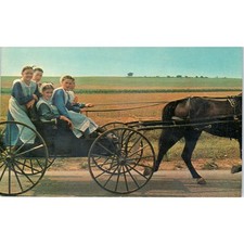 Amish Girls After Church in Buggy Pennsylvania Dutch Country Postcard PD7 picture