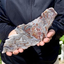 249G Natural Crazy Lace Agate Slab Polished Raw Mineral Specimen Crystal Heali picture