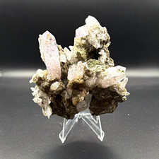 Vera Cruz Amethyst Cluster from Las Vigas Mine (Mexico) picture