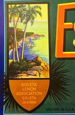 Vintage 1950s Estero Lemons Crate Label 🍋 Santa Barbara CA Schmidt NOS picture