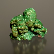 Malachite on Limonite Mineral Collector Specimen - Bisbee, Arizona, USA picture