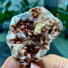45G Natural Garnet Crystal Ore Mineral Crystal Specimen Museum Grade picture
