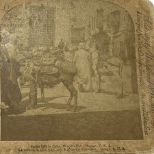 vtg Stereoview Cairo Street Chicago Worlds Fair 1893 Strohmeyer Donkey picture