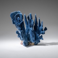 Genuine Blue Ridge Coral (4