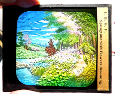 Antique Odd Fellows Magic Lantern Glass Slide/ Springtime with Flowers Blooming picture