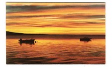 Sunrise scene from the Lookout on FLYE Point Brooklin ME VTG postcard UNP picture
